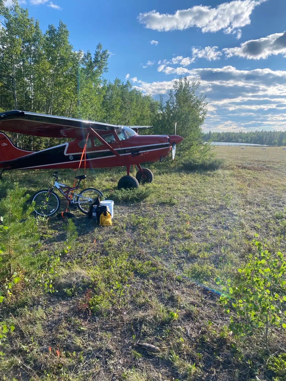 1952 Cessna 170B for sale in AB, Canada