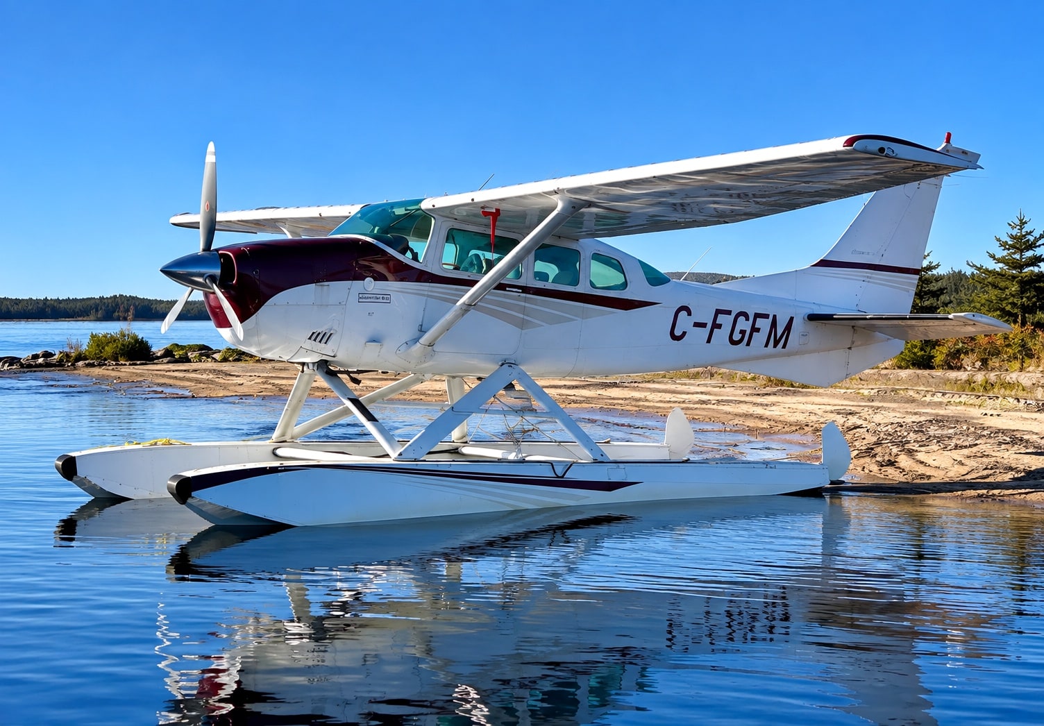 Exterior view of a 1974 Cessna U206F for sale in QC